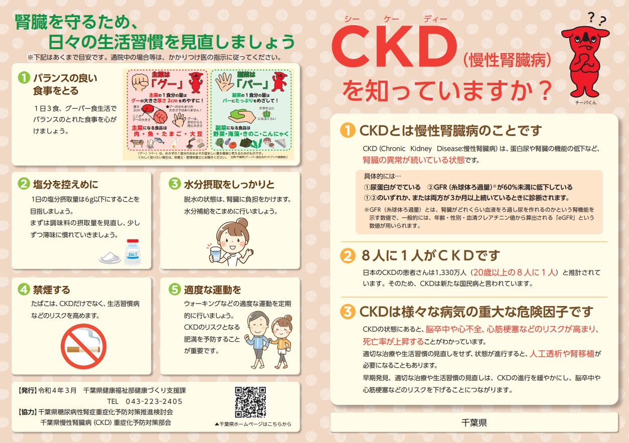 CKD-2_1254x883
